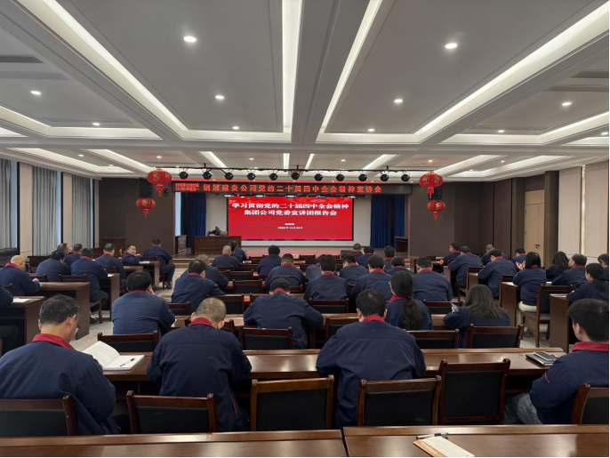 公司召開學(xué)習(xí)貫徹黨的二十屆四中全會(huì)精神宣講會(huì)